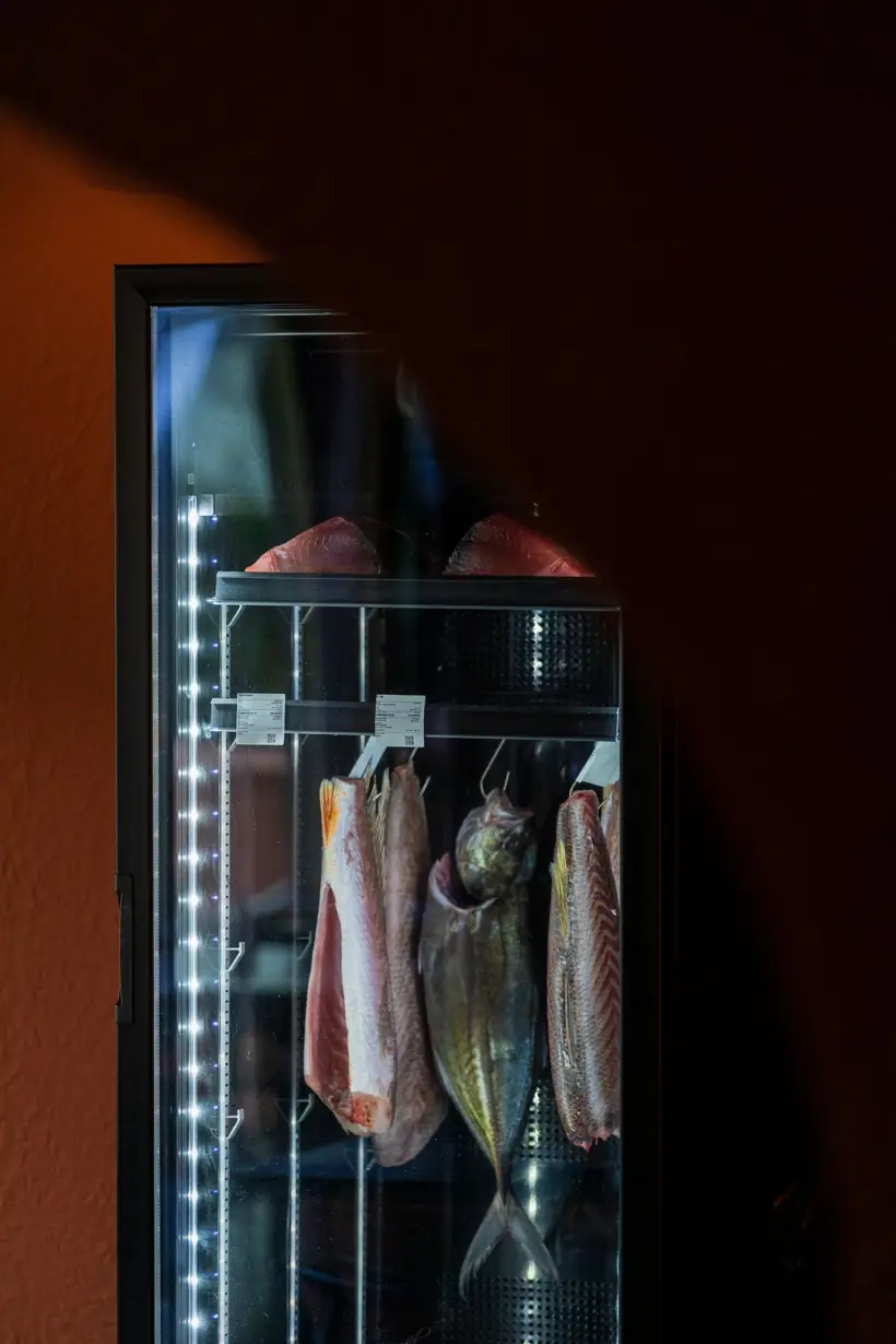 Câmara de peixes